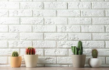 Different potted cacti on table near brick wall, space for text. Interior decor
