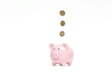 piggy Bank with coins on white background