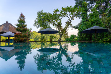 View of a tropical garden and swimming pool in Ubud, Bali, Indonesia , close up