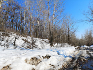 Melting snow on the road in the Russian landscape early spring