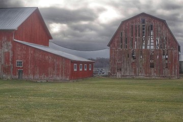 0240 - Church Road Reds (0240-BAR-010919-1151A)