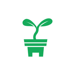 Obraz premium plants in pots