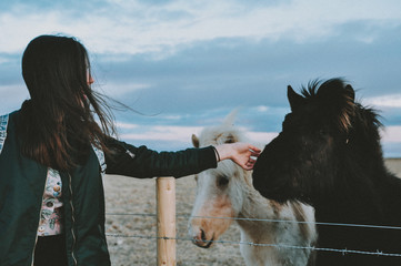 Girl with icelandic horses