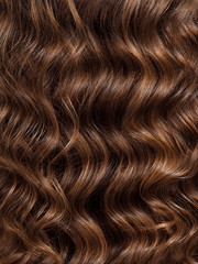 Girl with long, curly hair, rear view. Hair texture, close-up.