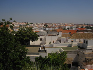 Fototapeta premium Panoramica