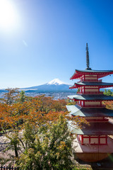 Fototapeta premium Chureito Pagoda and Mt. Fuji in autumn, Japan
