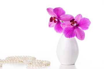 Image with orchid.