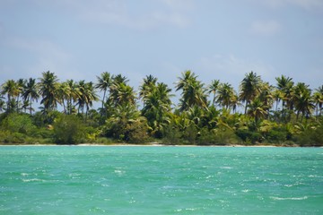 tropical island in maldives