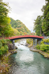Fototapeta na wymiar bridge in japanese garden