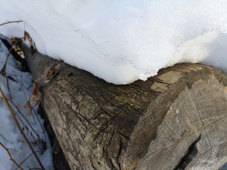 Broken logs under the snow in the winter landscape in Russia