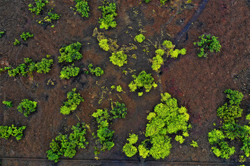 Lava auf Hawaii aus der Luft - Luftbilder von Big Island