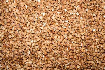 buckwheat group scattered close-up