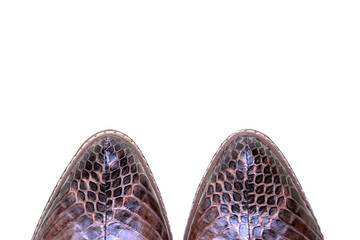 Luxury women shoes. Genuine snake leather. Fashion object