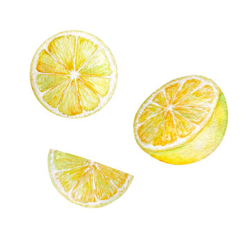 watercolor slices and lemon halves
