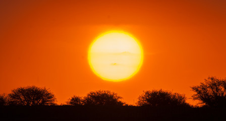 Fototapeta premium Rural sunset landscape, Buenos Aires province , Argentina