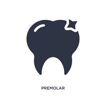 premolar icon on white background. Simple element illustration from medical concept.