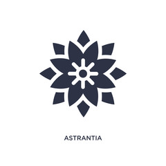 astrantia icon on white background. Simple element illustration from nature concept.