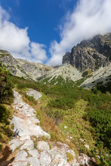 Fototapeta na wymiar Mountain landscape - a trail in the Tatras