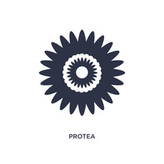 protea icon on white background. Simple element illustration from nature concept.