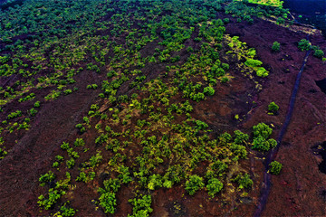 Lavalandschaften auf Hawaii aus der Luft - Luftbilder von Big Island