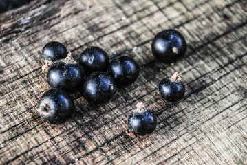 black currant on wooden table