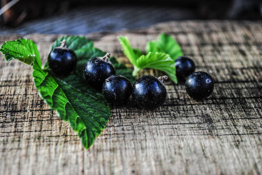 black currant on wooden table with leaf sprig