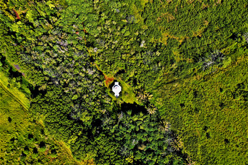 Hawaii aus der Luft - Luftbilder von Lava und tollen Landschaften auf Big Island