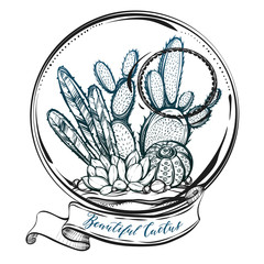 Vector illustration. Beautiful cactus in terrarium. Handmade, set of plants, prints on T-shirts, tattoos, background white, Dark green blue color, postcard for you