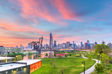 Fototapeta premium Chicago, Illinois, USA park and downtown skyline