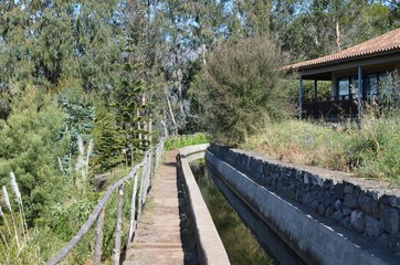 Fototapeta premium Levada dos Tornos: Monte to Camacha, Madeira