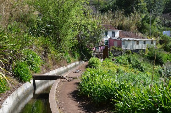 Levada dos Tornos: Monte to Camacha, Madeira