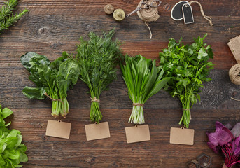 Various fresh green kitchen herbs