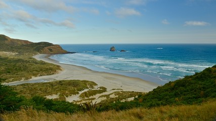 Fototapeta na wymiar Sandfly beach, New Zealand