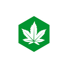 Cannabis leaf icon vector template