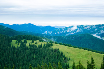 Carpathian Mountains / Ukraine