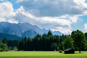 Fototapeta na wymiar Alps in summer