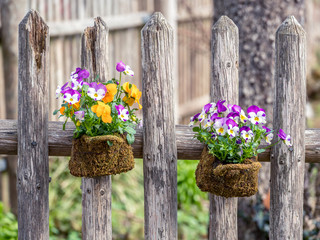 Image of creative flowers decoration in the garden