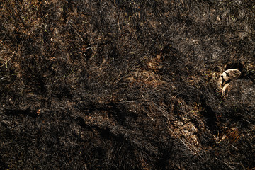 Top view of burned grass on field.