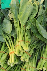 Obraz premium chinese kale for cooking at street food