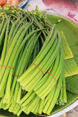 Onion flower stem for cooking in market