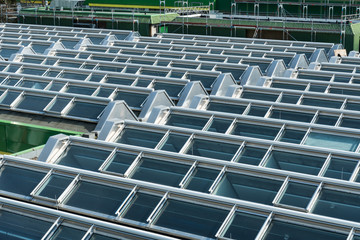 Glasdach über einer Lagerhalle