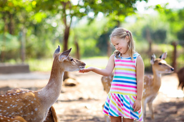 Child feeding wild deer at zoo. Kids feed animals.