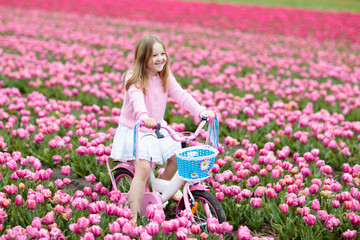 Child on bike in tulip field. Bicycle in Holland.