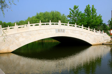 Naklejka premium Forest Park scenery