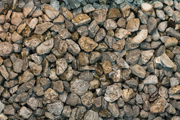 A large number of wet stones. Pebble Background