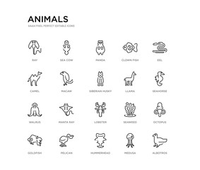 set of 20 line icons such as lobster, manta ray, walrus, llama, siberian husky, macaw, camel, clown fish, panda, sea cow. animals outline thin icons collection. editable 64x64 stroke