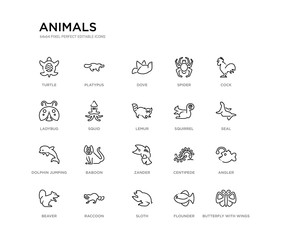 set of 20 line icons such as zander, baboon, dolphin jumping, squirrel, lemur, squid, ladybug, spider, dove, platypus. animals outline thin icons collection. editable 64x64 stroke
