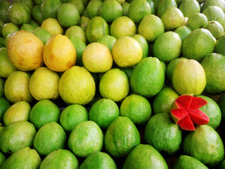  guava - large amounts of guava fruit, fresh guava fruit, guava fruit in a basket