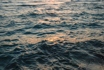 Water Ripple Texture