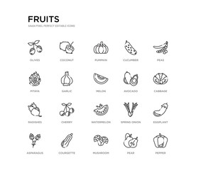 set of 20 line icons such as watermelon, cherry, radishes, avocado, melon, garlic, pitaya, cucumber, pumpkin, coconut. fruits outline thin icons collection. editable 64x64 stroke